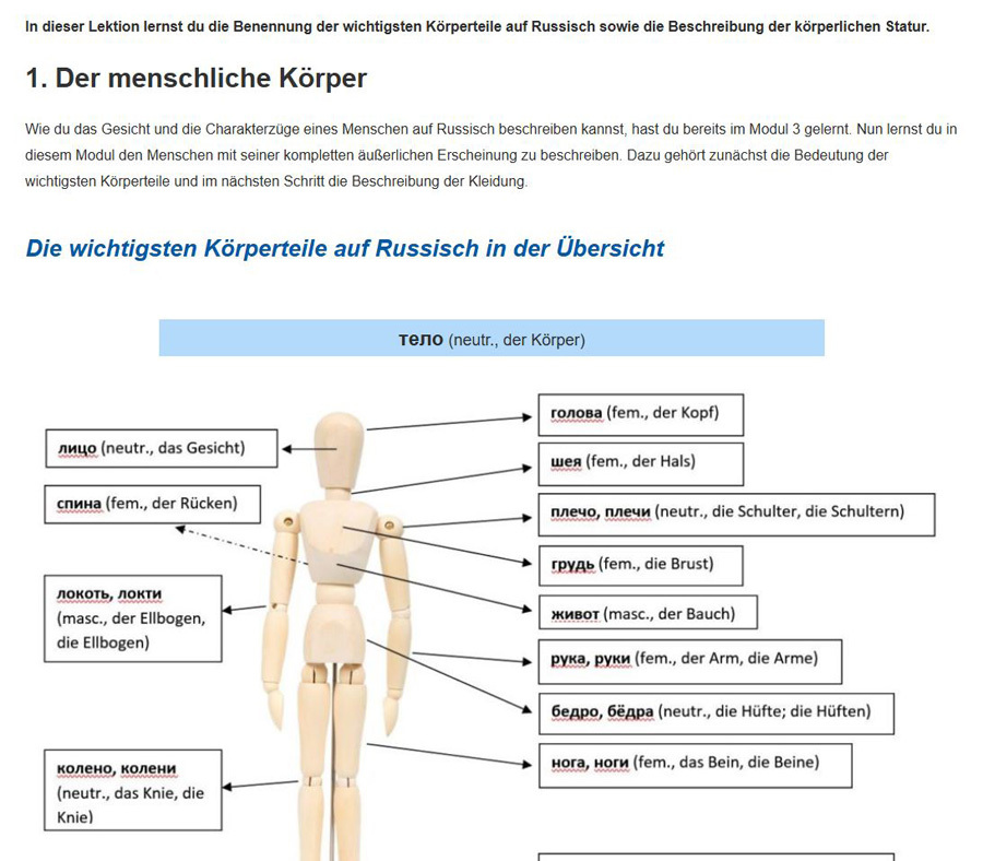 Der menschliche Körper